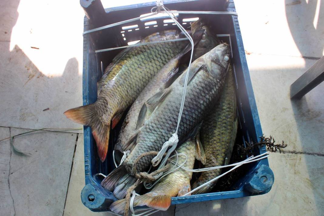 O kentte korkunç manzara: Maske ve eldivenle kamyonete yüklediler! Mahalleli endişeli: Daha önce böyle bir şey yaşamadık 8